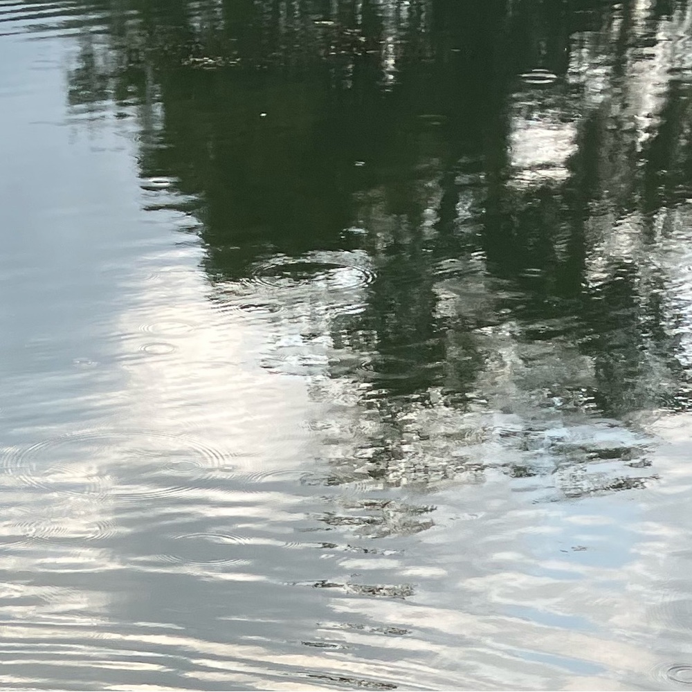 Meet your Posher, Kinley